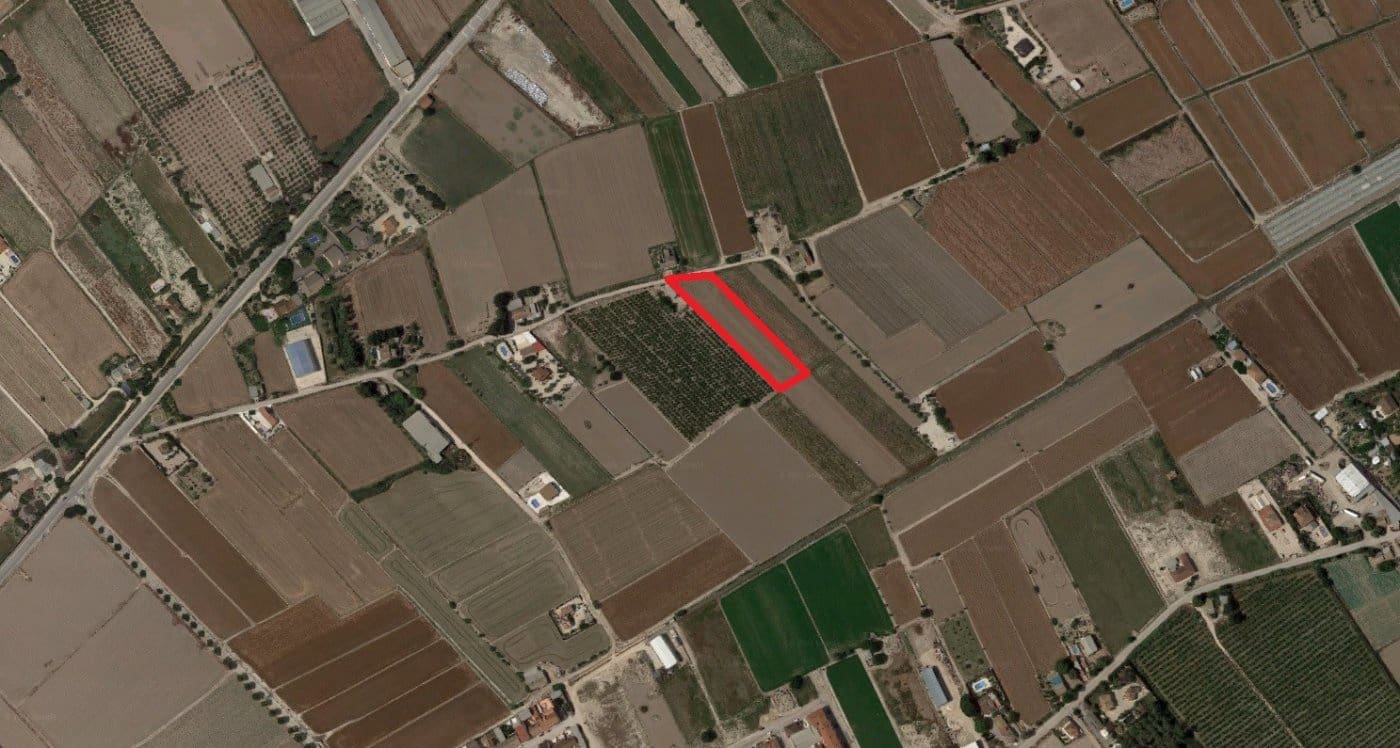 Terre non Aménagée à vendre à Dolores - 39 900 € (Ref: 6879280)