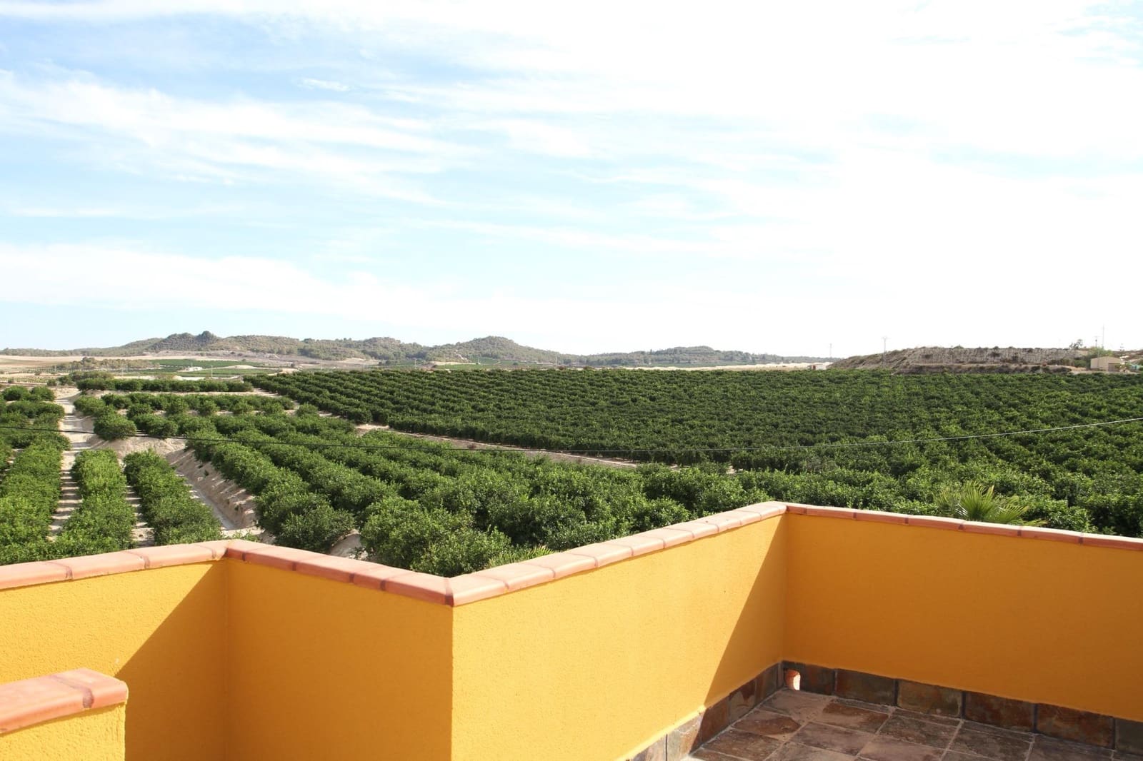 6 sypialnia Finka/Dom wiejski na sprzedaż w San Miguel de Salinas z basenem - 890 000 € (Ref: 8202951)