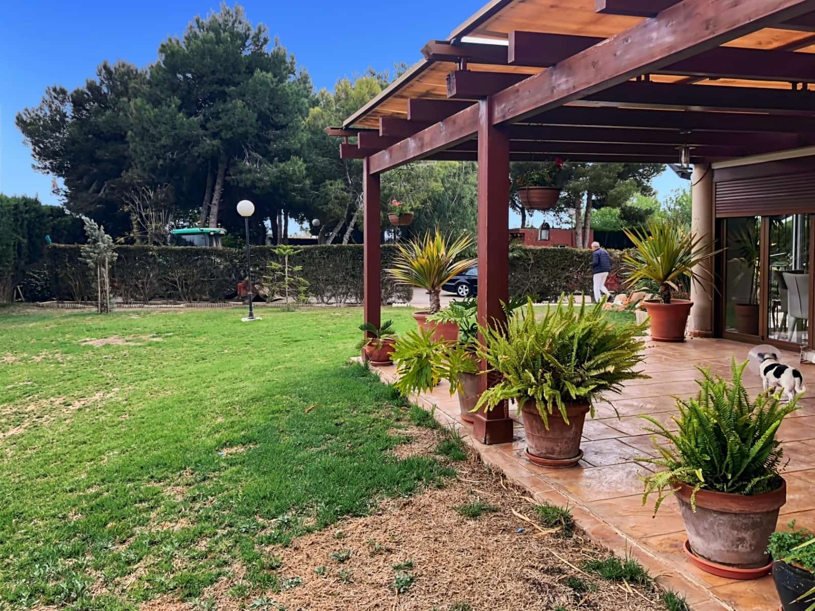 3 soveværelse Finca/Landehus til salg i Dolores med swimmingpool - € 525.000 (Ref: 8538747)