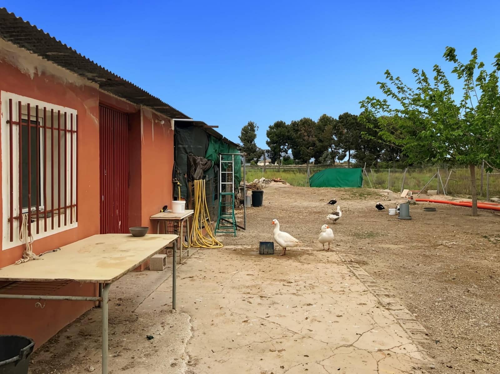 3 soveværelse Finca/Landehus til salg i Dolores med swimmingpool - € 525.000 (Ref: 8538747)