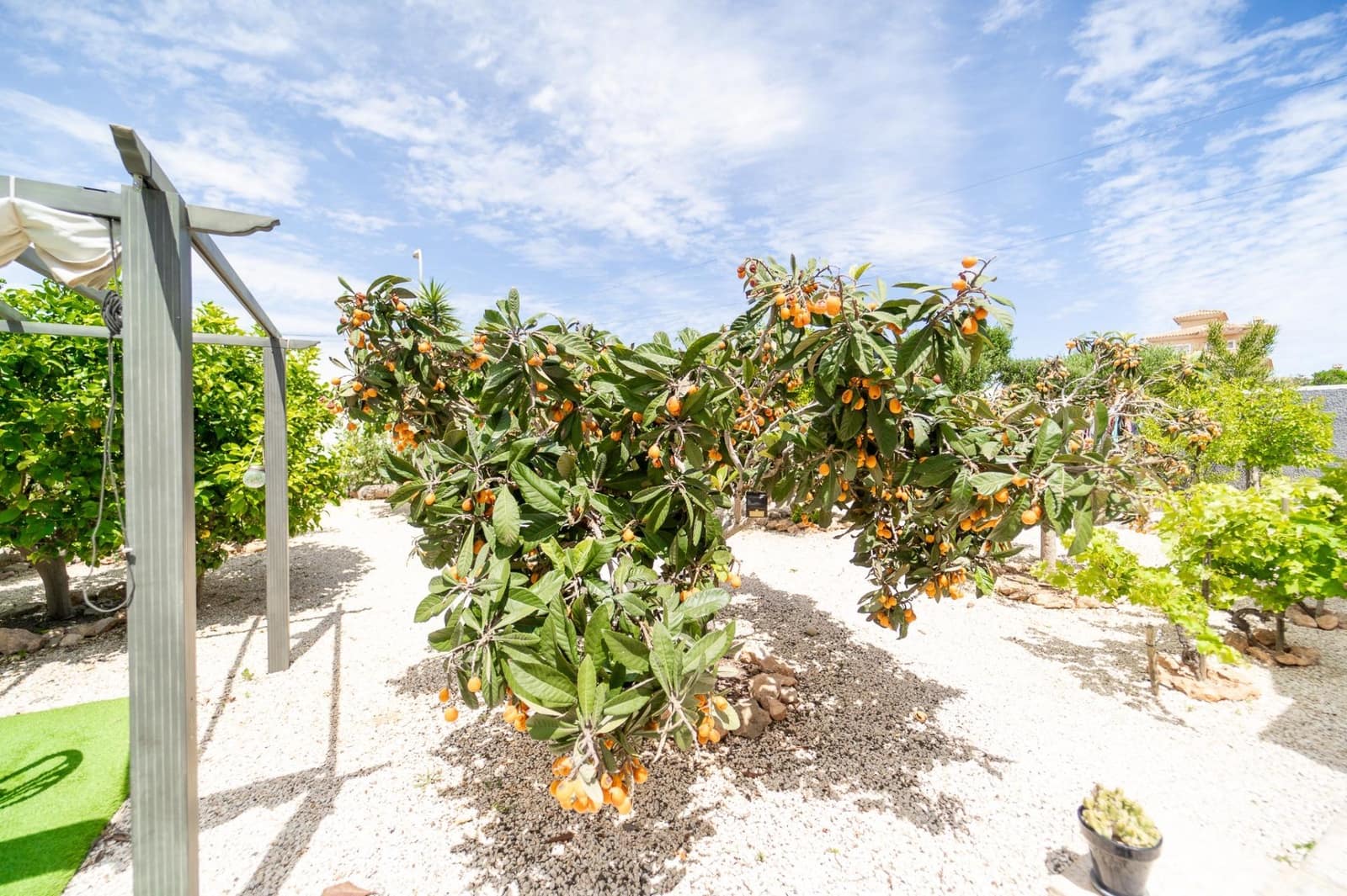 4 soveværelse Villa til salg i La Siesta med swimmingpool - € 495.000 (Ref: 8982551)