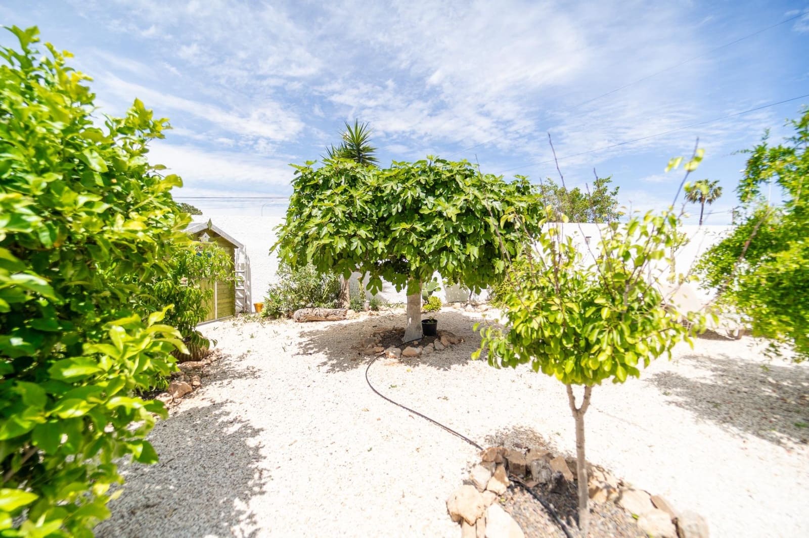 4 soveværelse Villa til salg i La Siesta med swimmingpool - € 495.000 (Ref: 8982551)