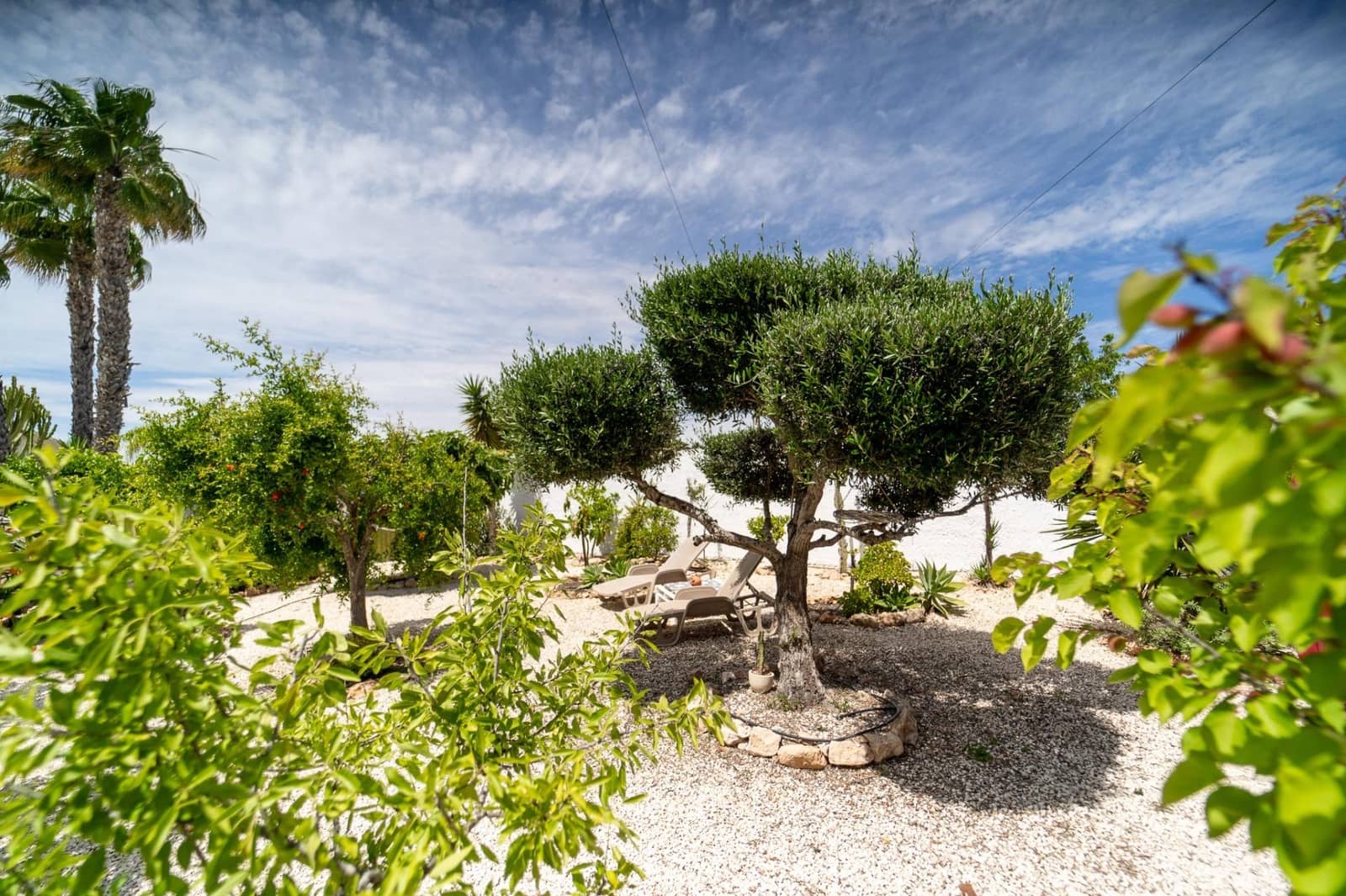 4 soveværelse Villa til salg i La Siesta med swimmingpool - € 495.000 (Ref: 8982551)