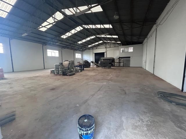Entreprise à vendre à Dolores - 275 000 € (Ref: 9020718)
