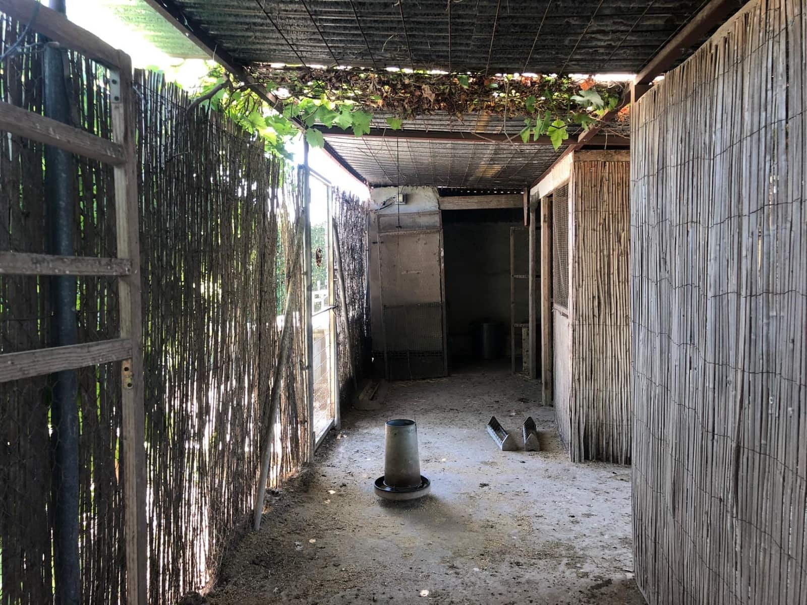 4 soveværelse Finca/Landehus til salg i Orihuela med swimmingpool - € 299.900 (Ref: 9023758)