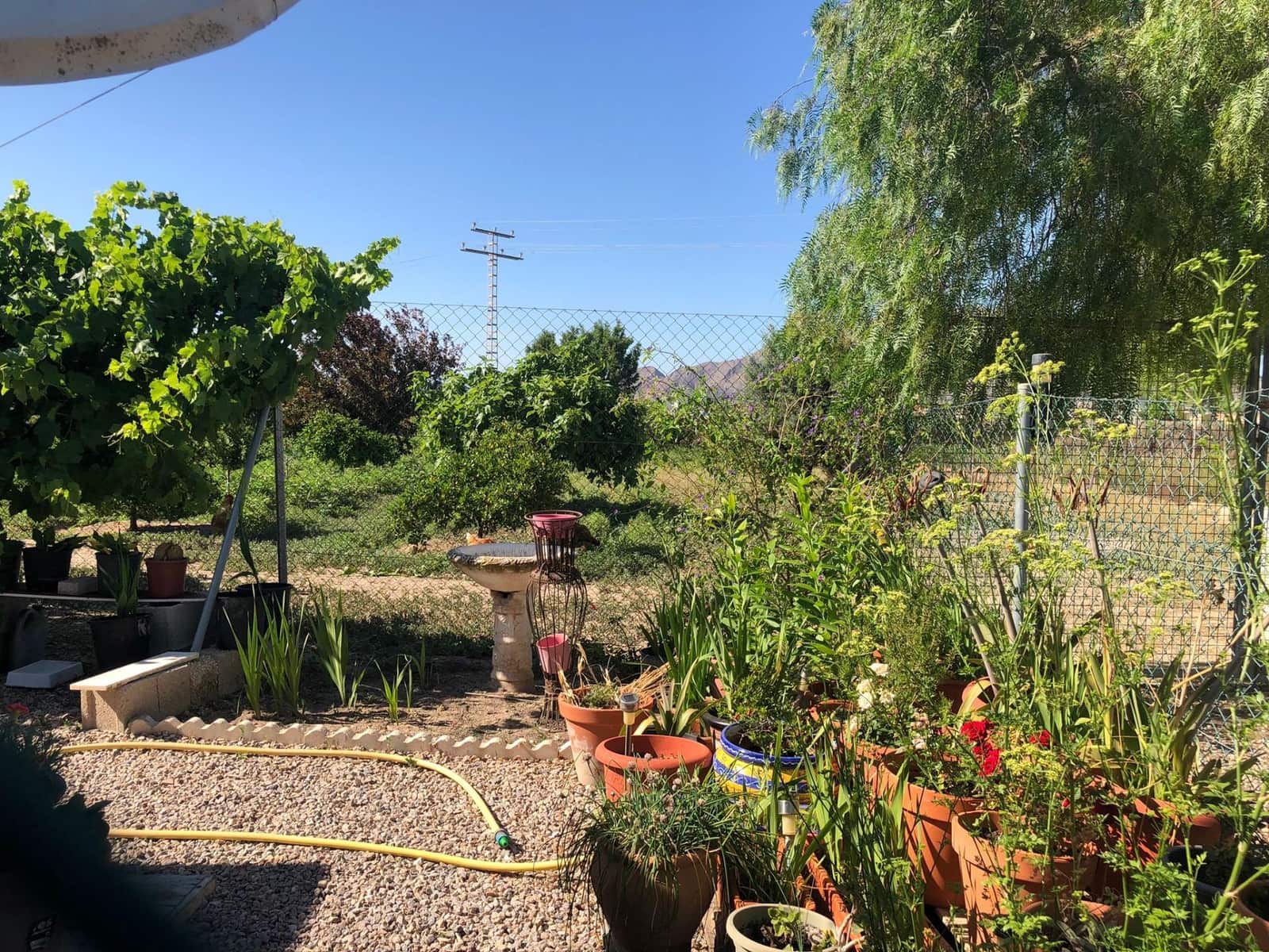 4 soveværelse Finca/Landehus til salg i Orihuela med swimmingpool - € 299.900 (Ref: 9023758)