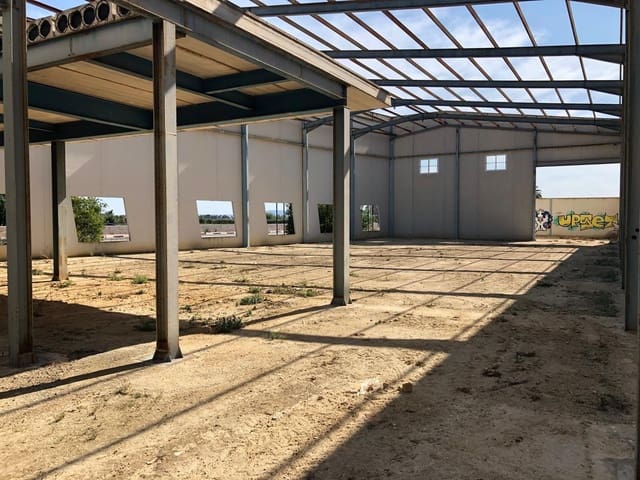 Entreprise à vendre à Dolores - 475 000 € (Ref: 9026537)