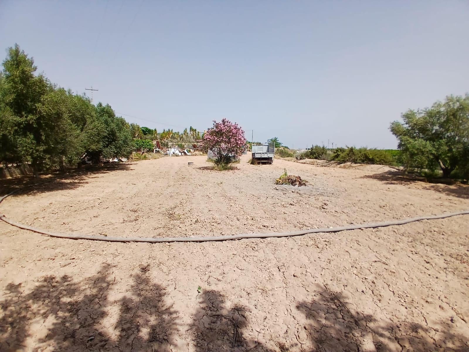 9 soveværelse Finca/Landehus til salg i Albatera - € 359.900 (Ref: 9068960)