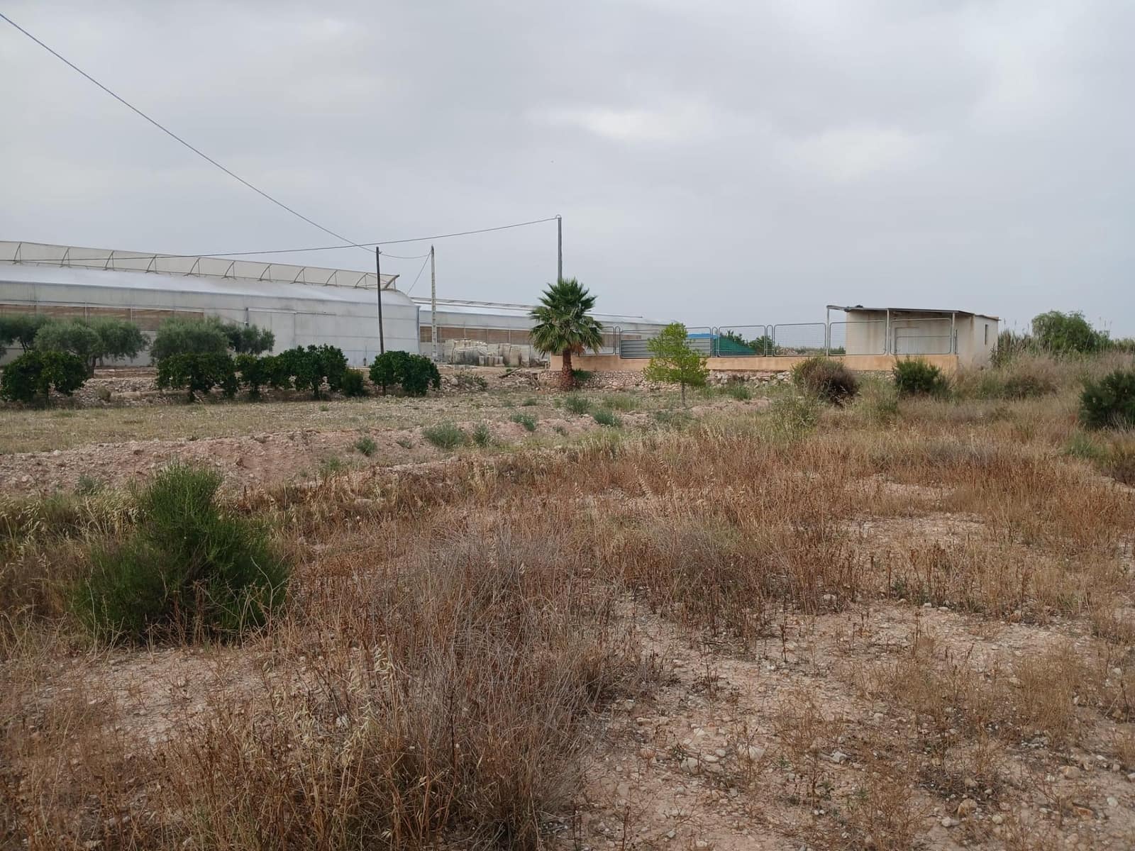 Bouwgrond te koop in Crevillente / Crevillent - € 164.900 (Ref: 9068961)