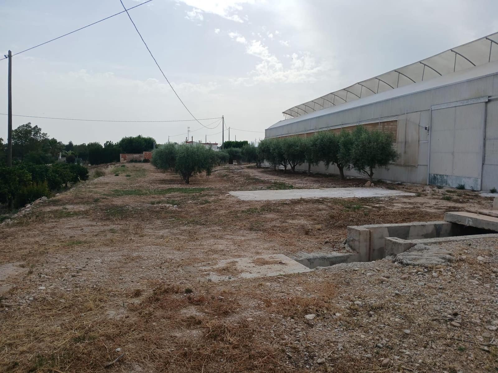 Bouwgrond te koop in Crevillente / Crevillent - € 164.900 (Ref: 9068961)