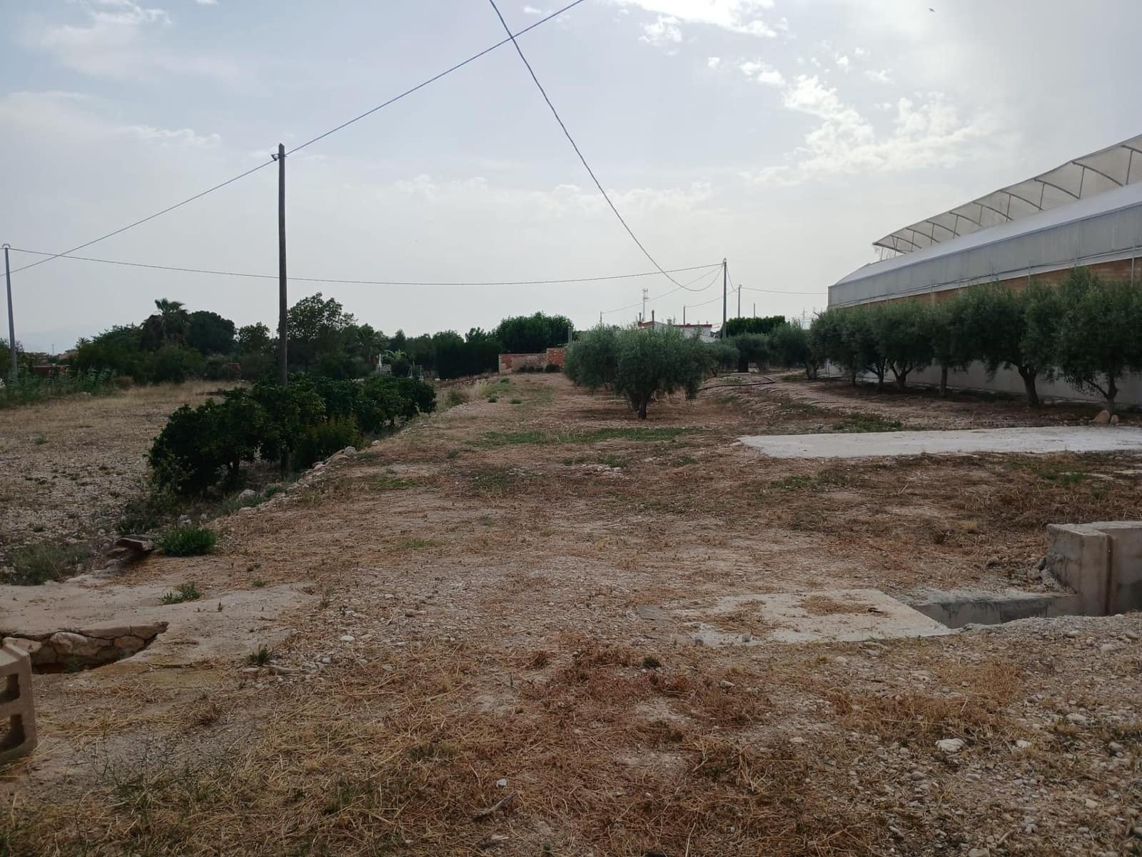 Bouwgrond te koop in Crevillente / Crevillent - € 164.900 (Ref: 9068961)