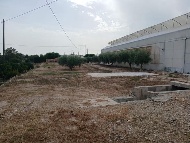 Bouwgrond te koop in Crevillente / Crevillent - € 164.900 (Ref: 9068961)