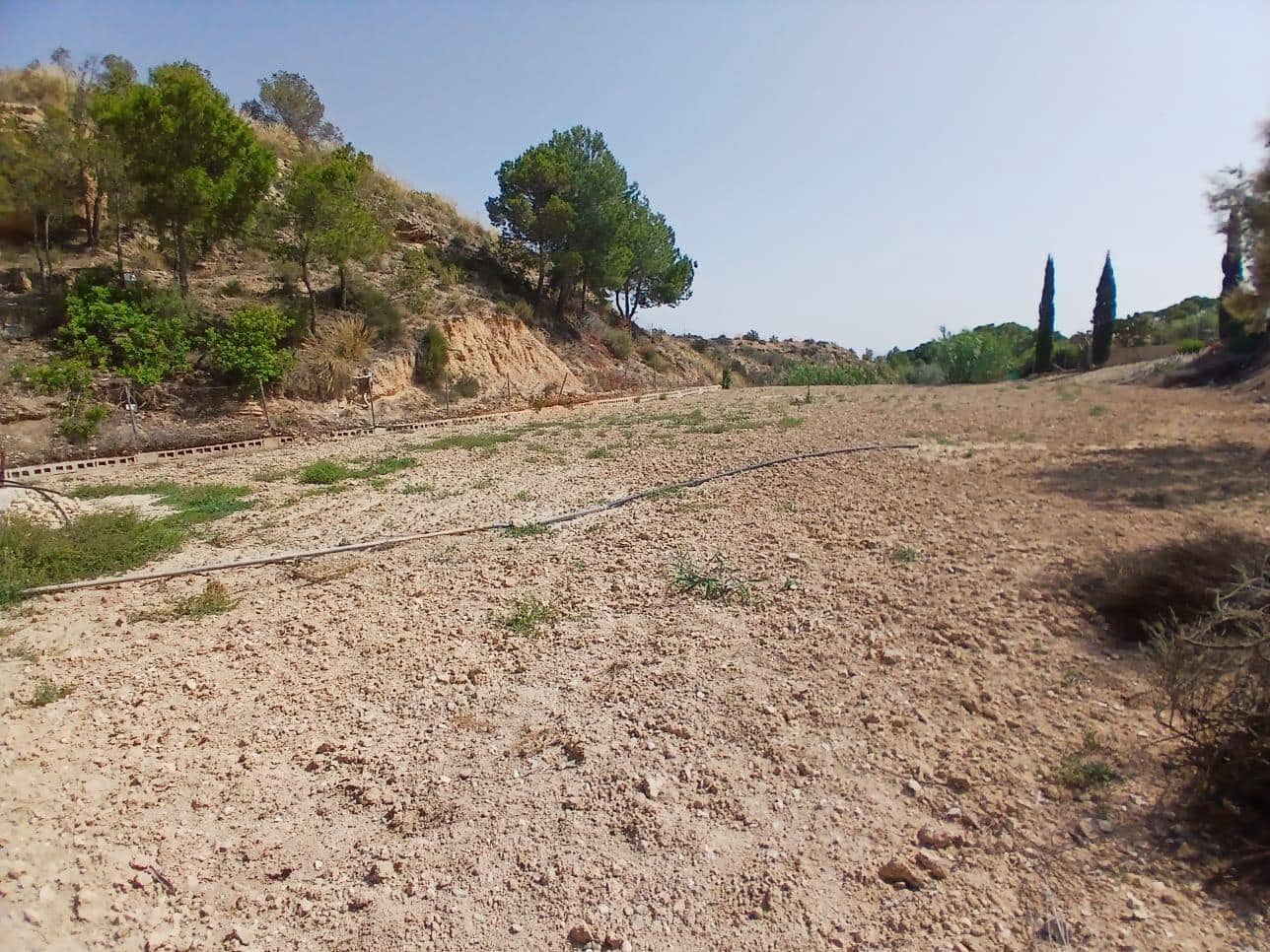 3 quarto Quinta/Casa Rural para venda em Crevillente / Crevillent com piscina - 299 900 € (Ref: 9068962)