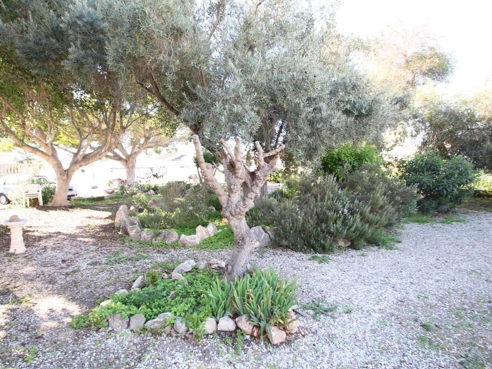 3 quarto Bungalow para venda em San Luis - 129 900 € (Ref: 9341099)