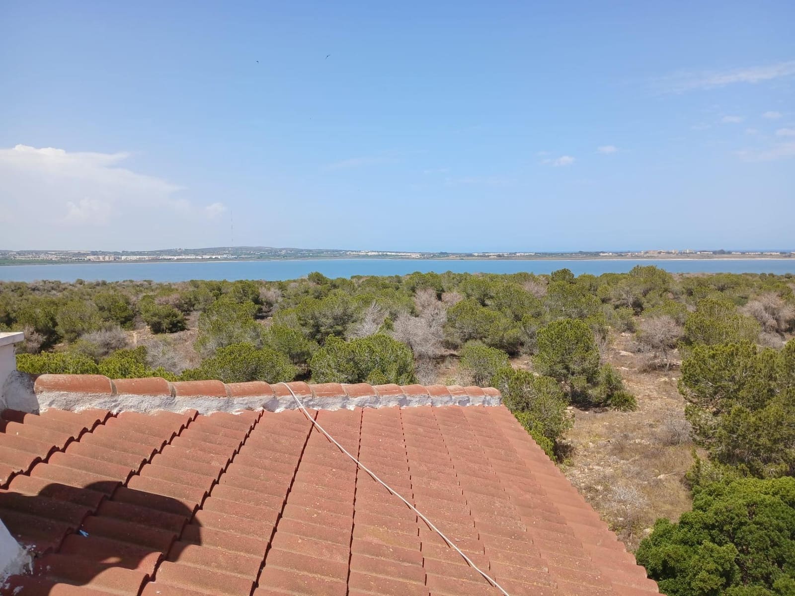 Studio til salgs i San Luis - € 49 900 (Ref: 9347158)