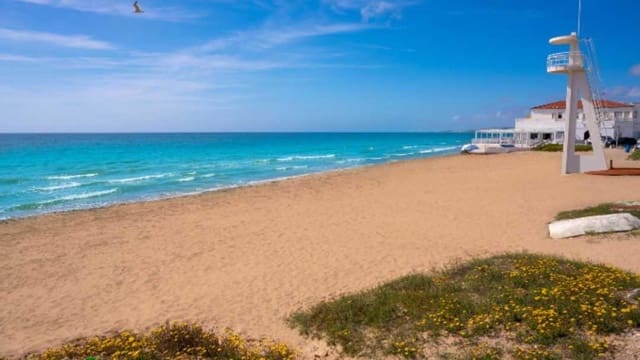 Building Plot for sale in Catral - € 65,000 (Ref: 9388354)