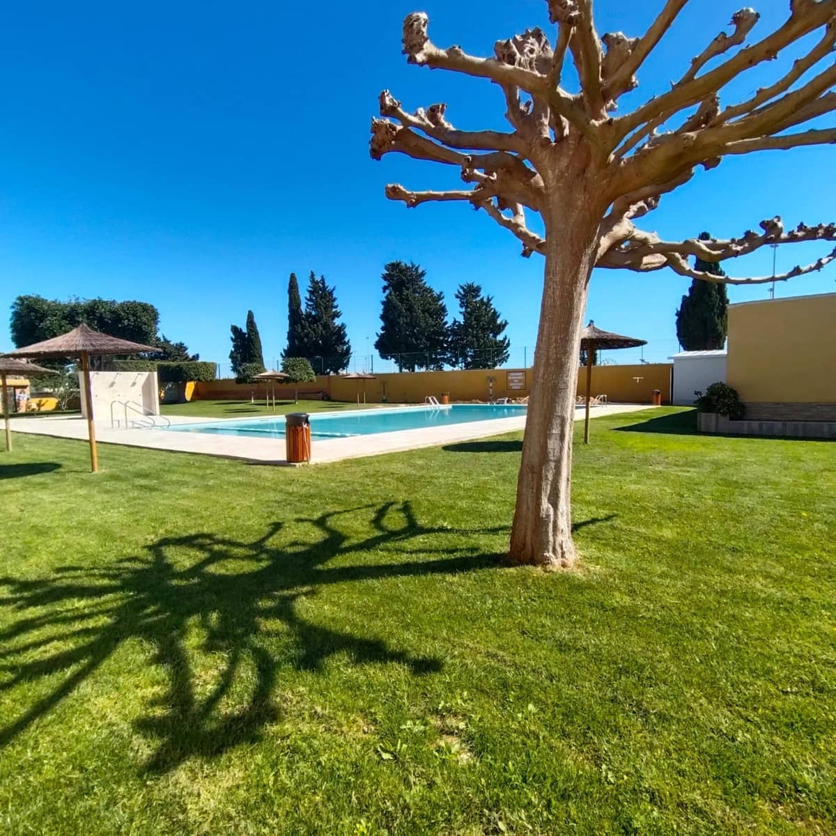 2 bedroom Bungalow for rent in Torrevieja with pool - € 900 (Ref: 9403289)