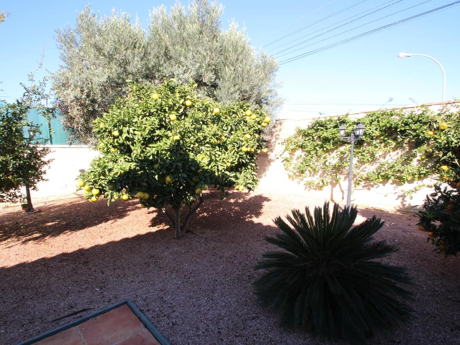 5 chambre Villa/Maison à vendre à El Chaparral avec piscine garage - 688 900 € (Ref: 9422305)