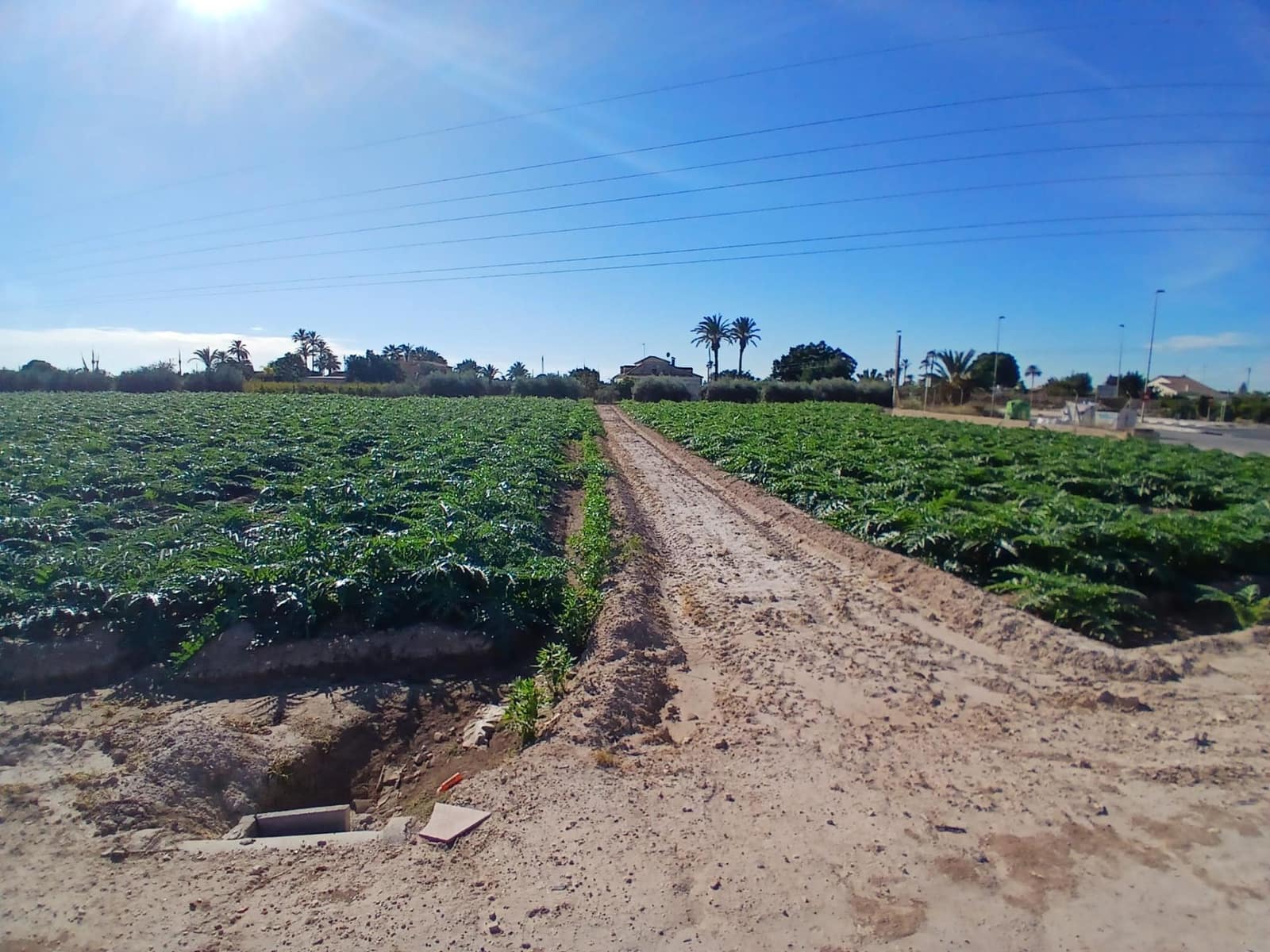 Area Edificabile in vendita in Elche / Elx - 395.000 € (Rif: 9452310)