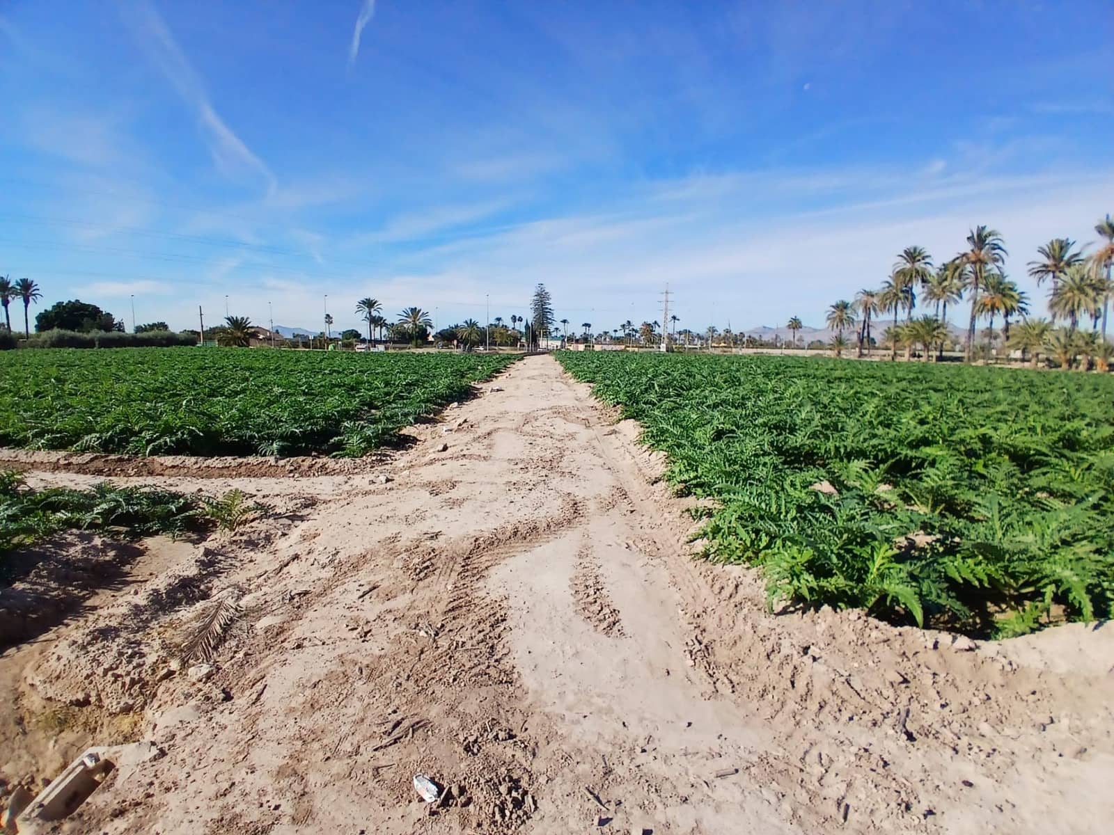 Area Edificabile in vendita in Elche / Elx - 395.000 € (Rif: 9452310)