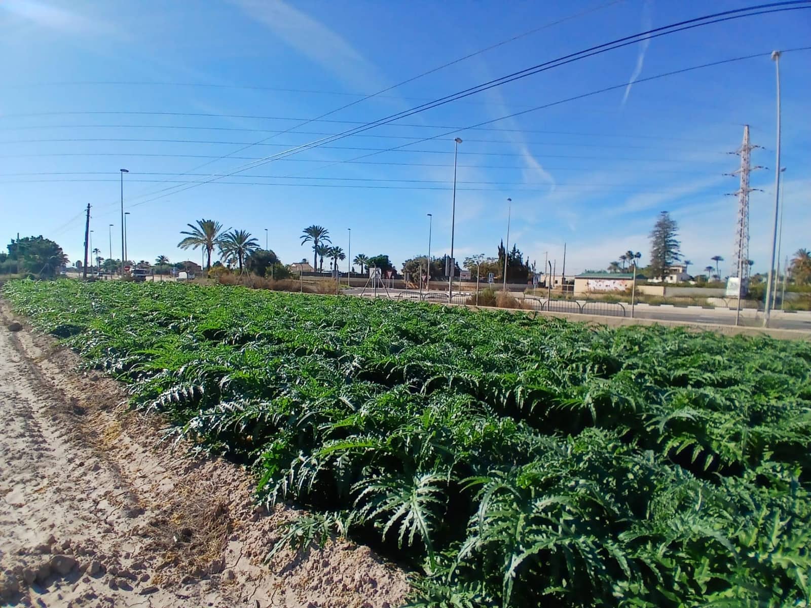 Area Edificabile in vendita in Elche / Elx - 395.000 € (Rif: 9452310)