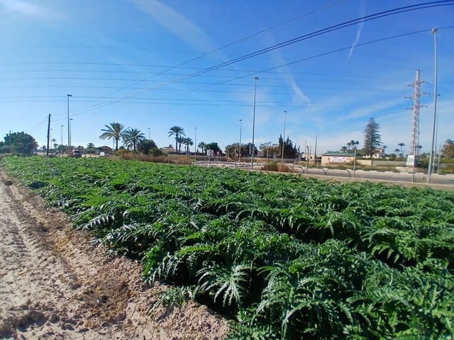 Area Edificabile in vendita in Alzabares, Elche / Elx - 395.000 € (Rif: 9452310)