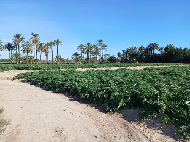 Area Edificabile in vendita in Alzabares, Elche / Elx - 395.000 € (Rif: 9452310)