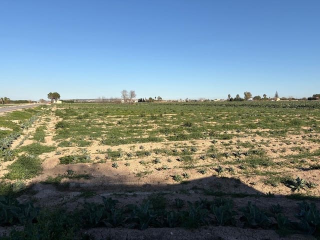 3 bedroom Finca/Country House for sale in Dolores - € 110,000 (Ref: 9637794)