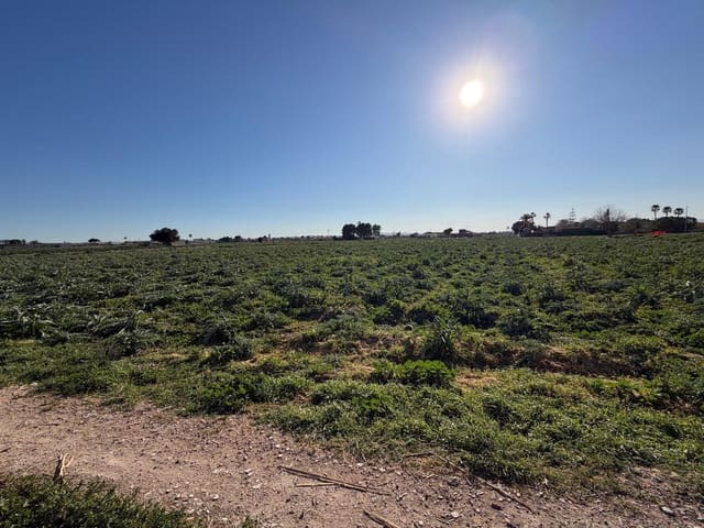 3 bedroom Finca/Country House for sale in Dolores - € 110,000 (Ref: 9637794)