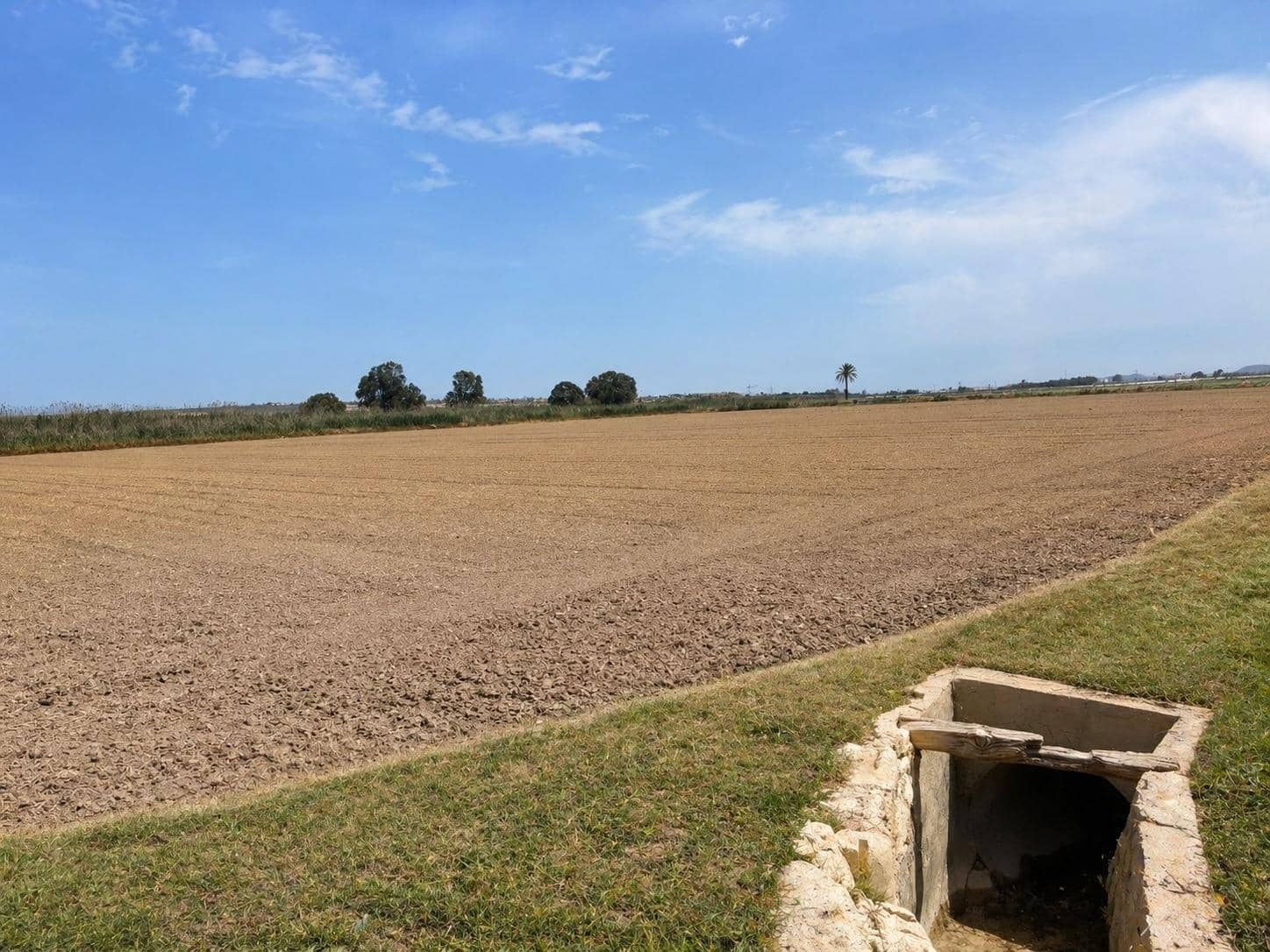 Byggetomt til salgs i Dolores - € 115 000 (Ref: 9806649)