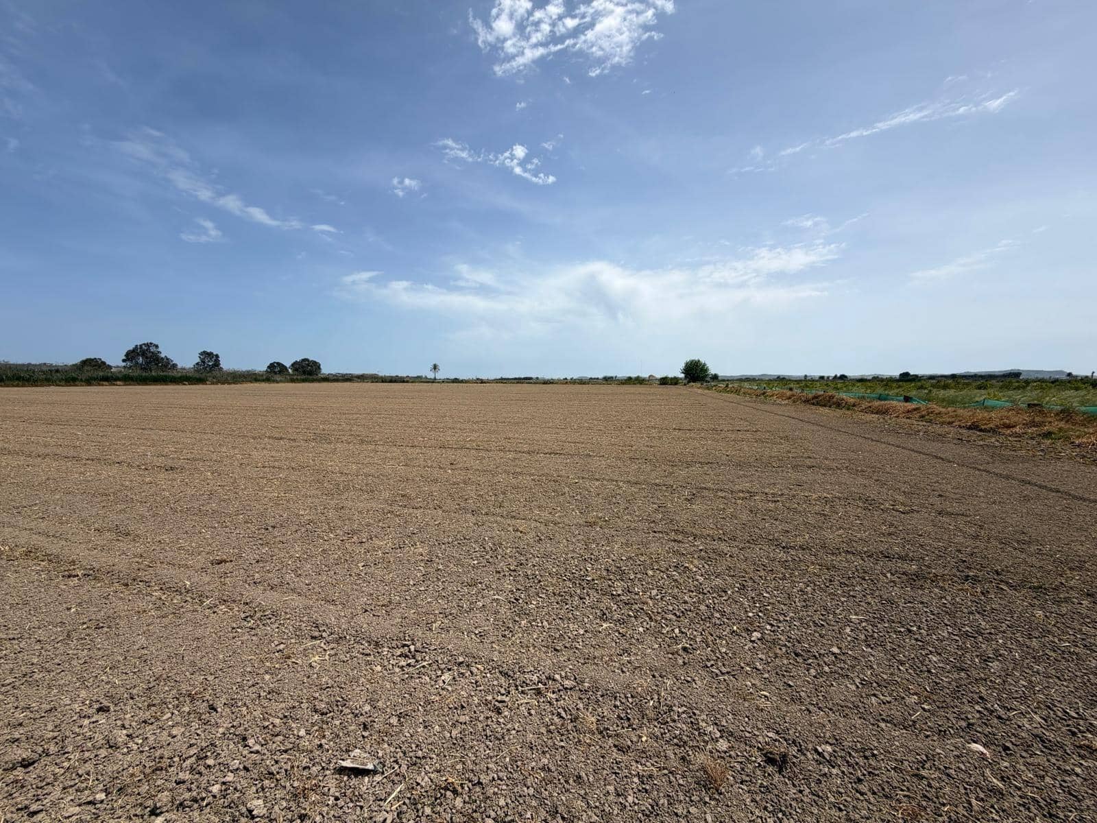 Byggetomt til salgs i Dolores - € 115 000 (Ref: 9806649)