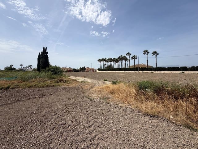 Byggetomt til salgs i Dolores - € 115 000 (Ref: 9806649)