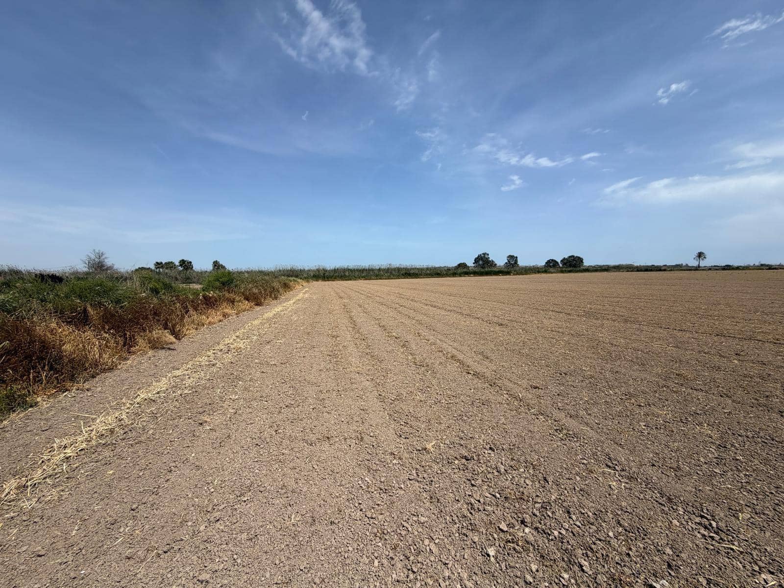 Byggetomt til salgs i Dolores - € 115 000 (Ref: 9806649)