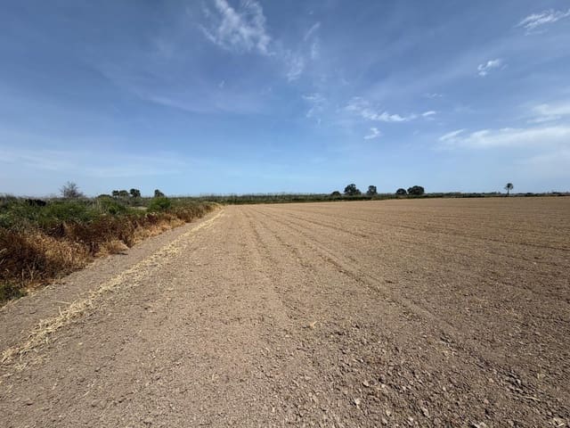 Byggetomt til salgs i Dolores - € 115 000 (Ref: 9806649)