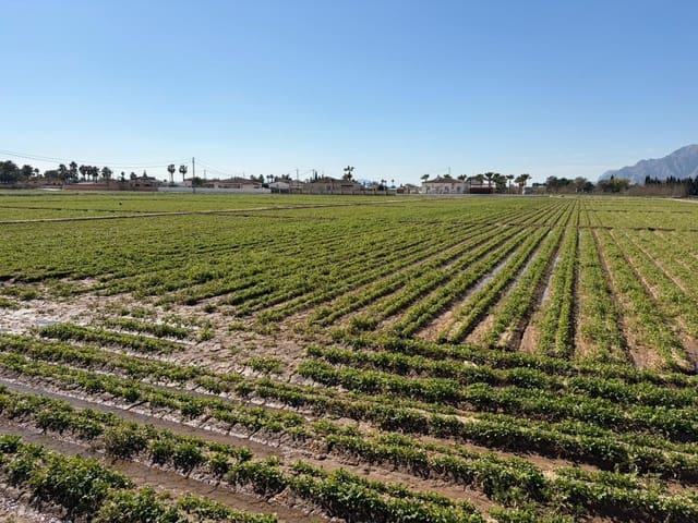 Ubebygd land til salgs i Catral - € 249 900 (Ref: 9812311)