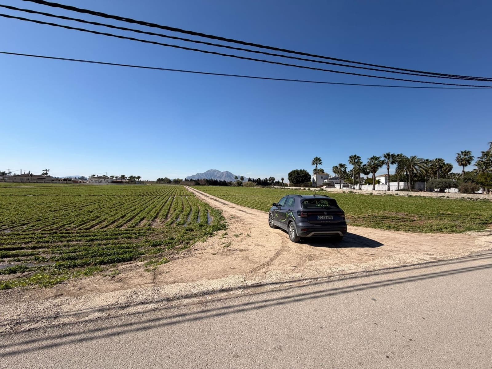 Ubebygd land til salgs i Catral - € 249 900 (Ref: 9812311)