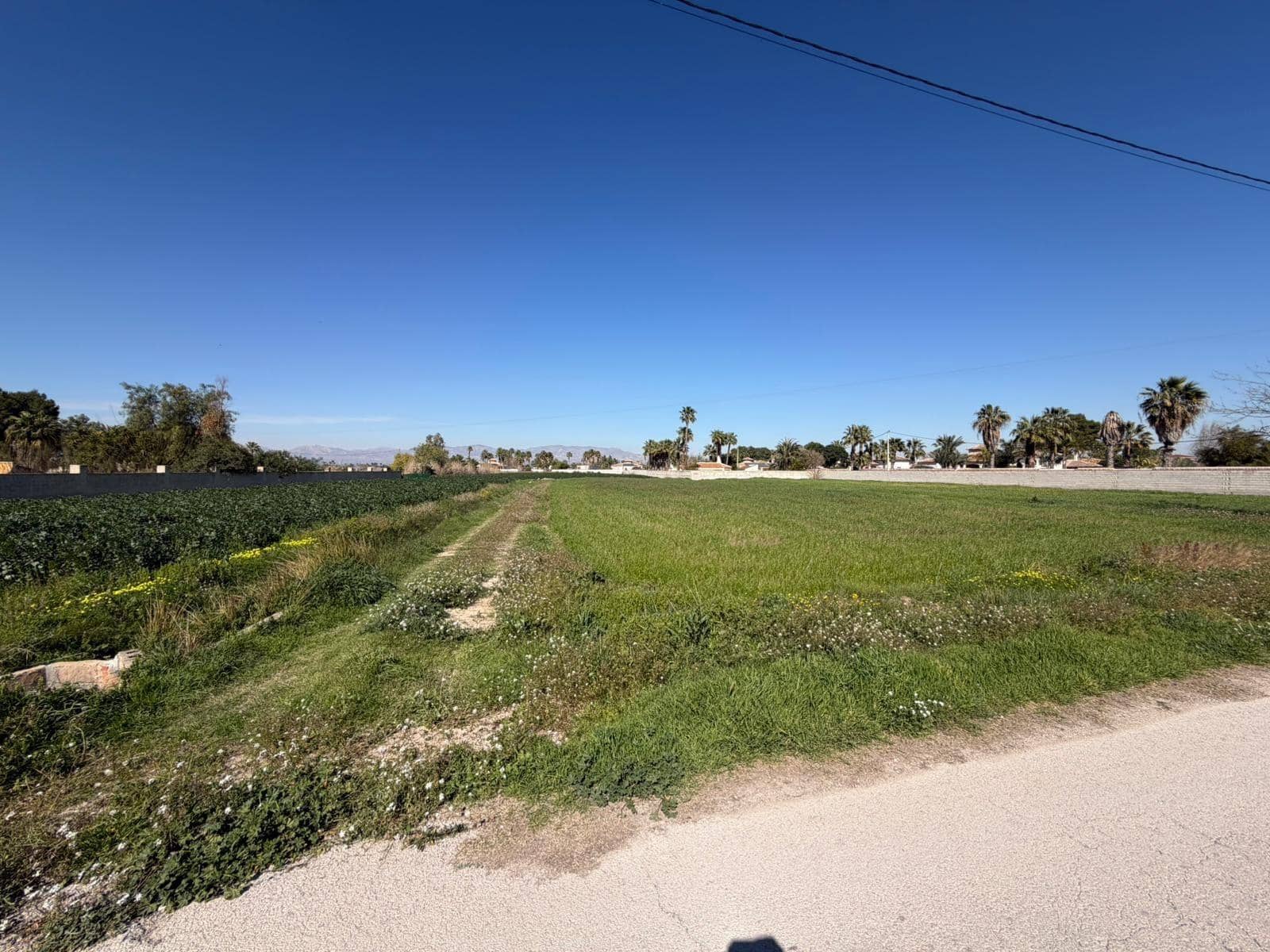 Ubebygd land til salgs i Catral - € 99 900 (Ref: 9812312)