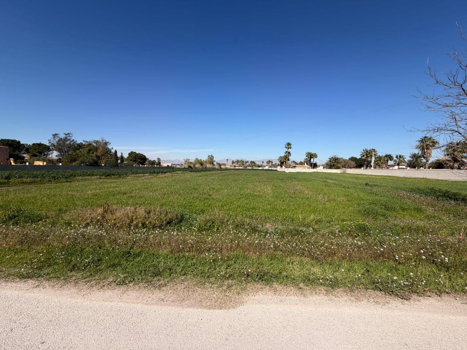 Ubebygd land til salgs i Catral - € 99 900 (Ref: 9812312)