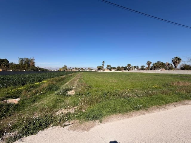Ubebygd land til salgs i Catral - € 99 900 (Ref: 9812312)
