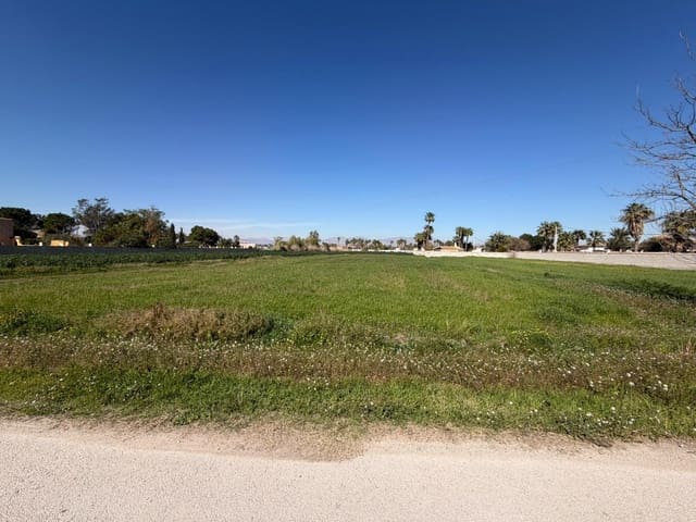 Ubebygd land til salgs i Catral - € 99 900 (Ref: 9812312)