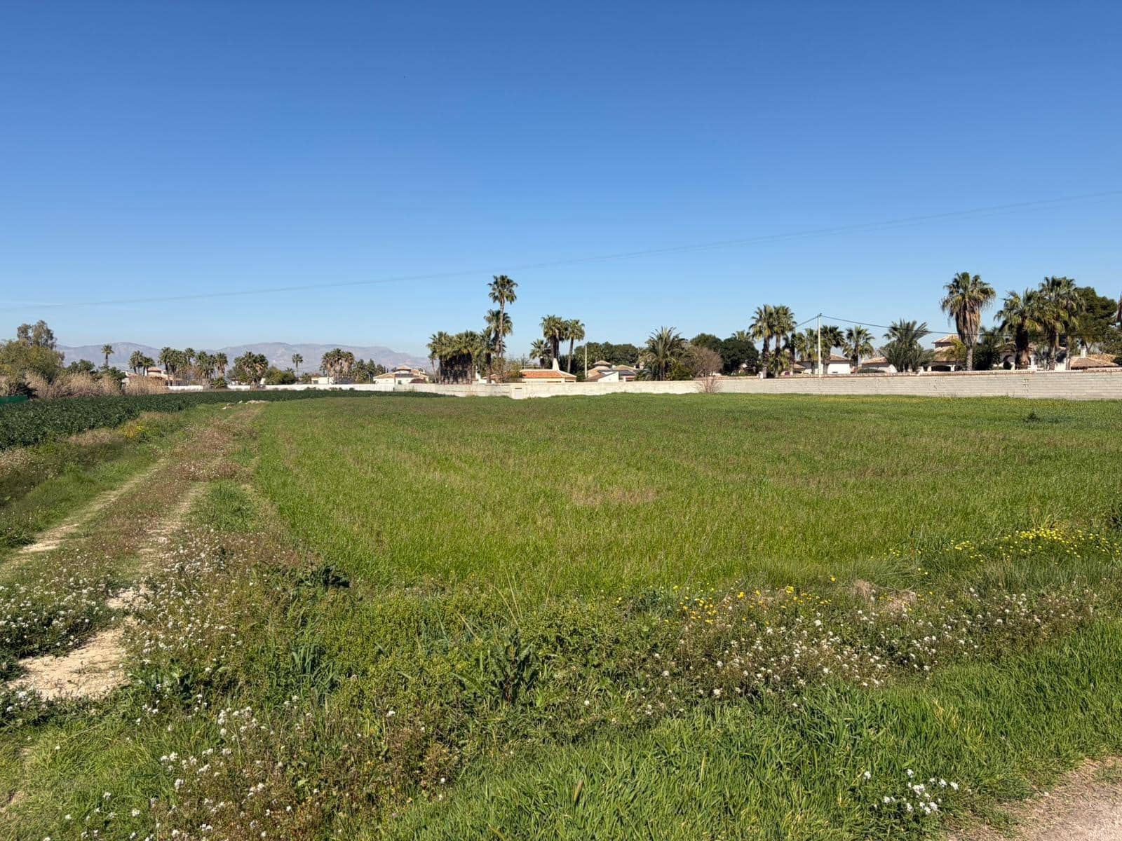 Ubebygd land til salgs i Catral - € 99 900 (Ref: 9812312)