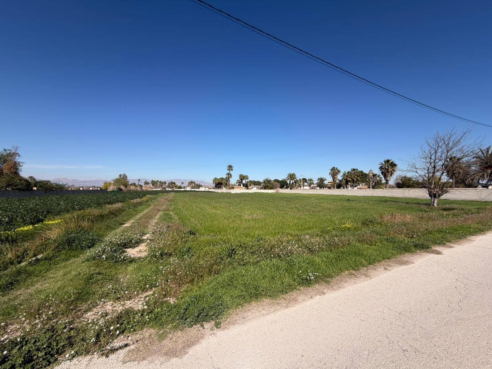 Ubebygd land til salgs i Catral - € 99 900 (Ref: 9812312)