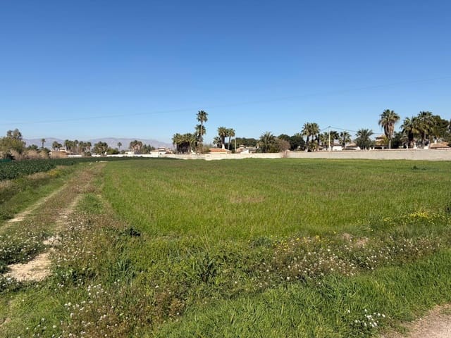 Ubebygd land til salgs i Catral - € 99 900 (Ref: 9812312)