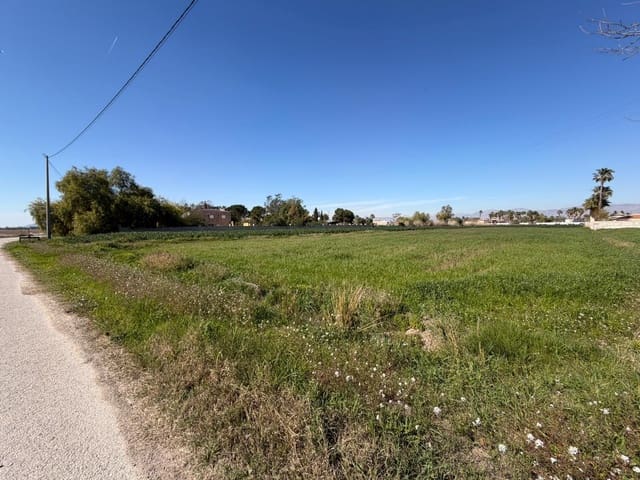 Ubebygd land til salgs i Catral - € 99 900 (Ref: 9812312)