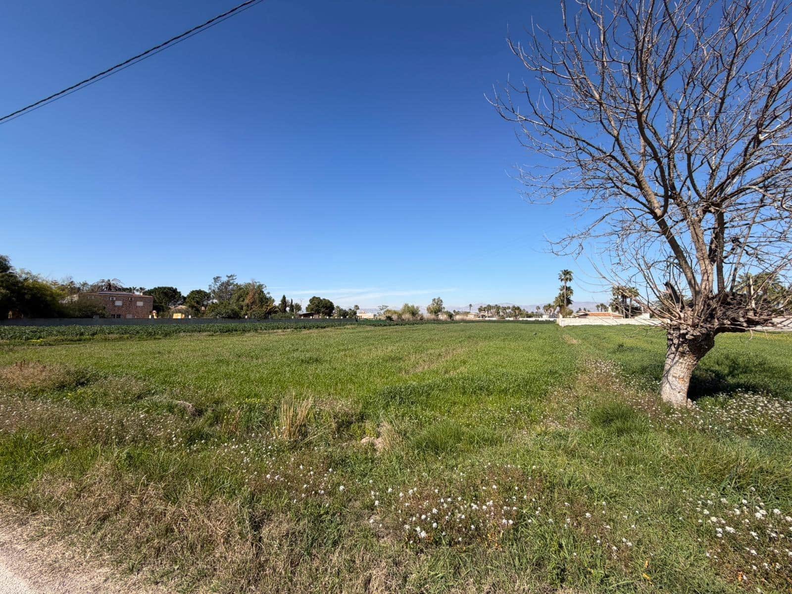 Ubebygd land til salgs i Catral - € 99 900 (Ref: 9812312)