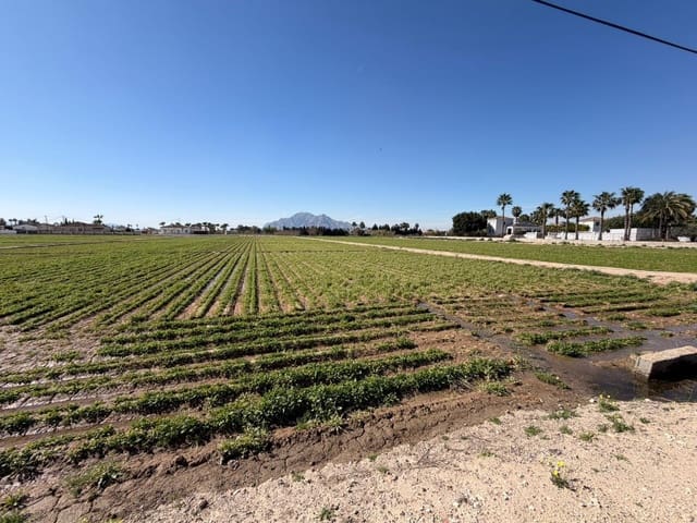 Ubebygd land til salgs i Catral - € 89 900 (Ref: 9812313)