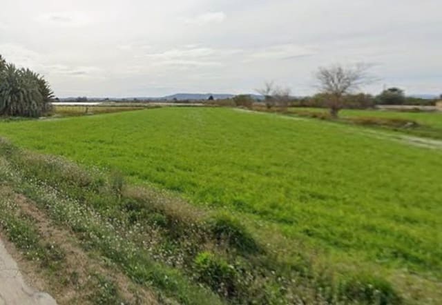 Terre non Aménagée à vendre à Catral - 14 500 € (Ref: 9825048)