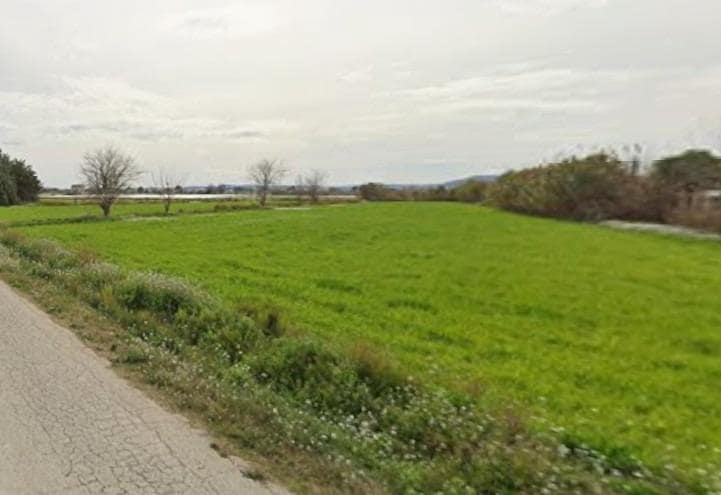 Undeveloped Land for sale in Catral - € 14,500 (Ref: 9825048)