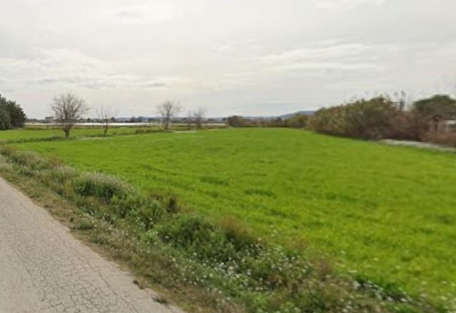 Terre non Aménagée à vendre à Catral - 14 500 € (Ref: 9825048)