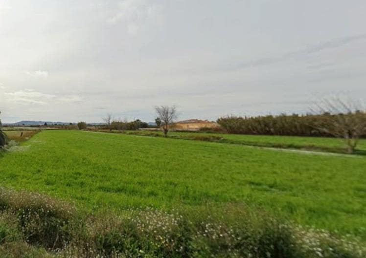 Undeveloped Land for sale in Catral - € 14,500 (Ref: 9825048)